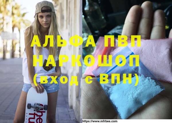 стафф Алексин