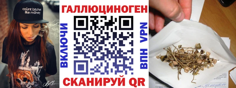 Галлюциногенные грибы Psilocybe  нарко площадка Telegram  Зерноград  наркотики 